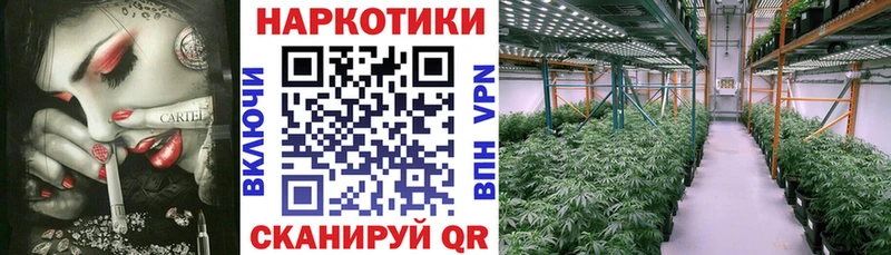 Что такое Колпашево МДМА КОКАИН Мефедрон Каннабис ГАШИШ
