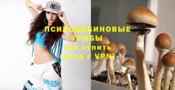 spice Бугульма