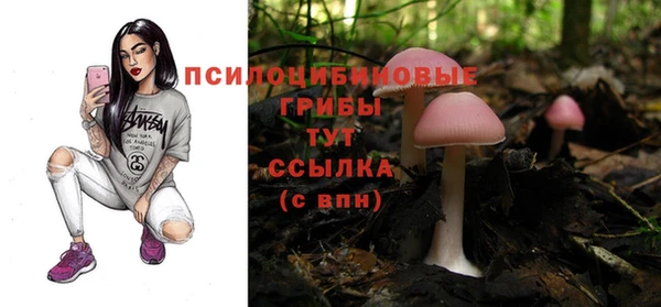 spice Бугульма