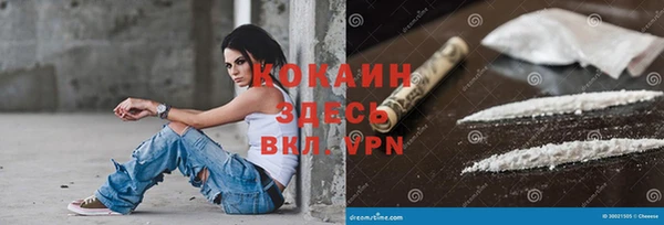 прущие крисы Бородино