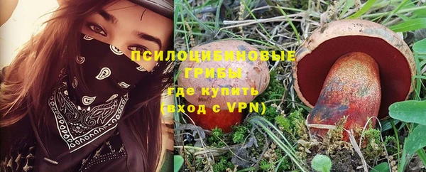 прущие крисы Бородино