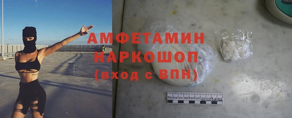 прущие крисы Бородино