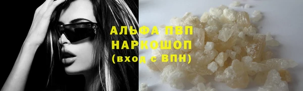 прущие крисы Бородино