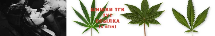 прущие крисы Бородино