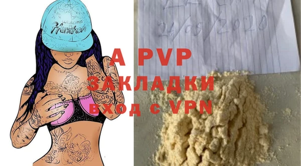 прущие крисы Бородино