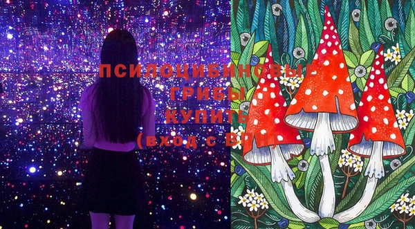 прущие крисы Бородино