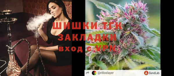 прущие крисы Бородино