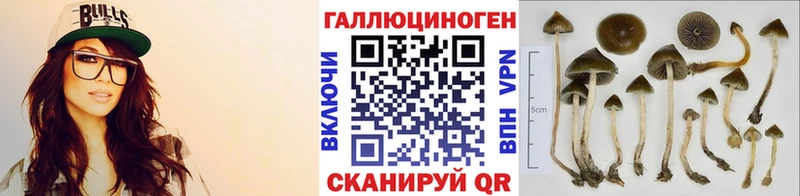 Псилоцибиновые грибы MAGIC MUSHROOMS  Колпашево 